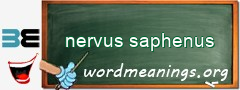 WordMeaning blackboard for nervus saphenus